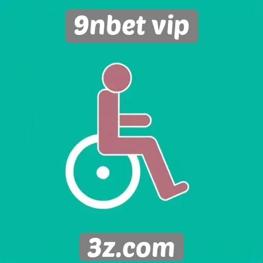 Acessibilidade e interface do 9nbet vip